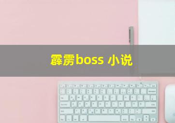 霹雳boss 小说